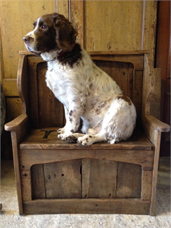 Reclaimed Pine Pew Dog Settle